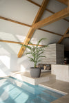 Grote Palm kunstplant | 240 cm | realistisch & premium kwaliteit
