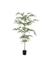 Moderne kunst Black Olive Tree van 210 cm met gelaagde vertakking en natuurlijke stam voor een luxe interieur.