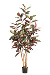 Indrukwekkende kunst Ficus Rosea Royale van 230 cm op echte houten stammen met grote roze-rood bonte bladeren voor een luxe vide.