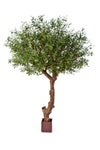 Majestueuze kunst olijfboom van 270 cm met Natural Poly Trunk en realistische olijven voor een indrukwekkende vide of luxe interieur.