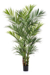 Prachtige grote kunst Kentia palm van 260 cm met fijngeveerde bladeren voor een luxe en luchtig interieur.
