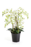 Prachtige witte kunstorchidee Phalaenopsis de Luxe met Real Touch bloemen voor een chic interieur.