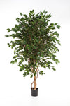 Majestueuze kunst Ficus Royal Green van 210 cm op echte houten stammen met een zeer volle, diepgroene bladstructuur.