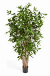 Prachtige luxe kunst Gold Dust Dracaena van 270 cm op echte houten stammen met uniek gevlekt blad voor een modern interieur.