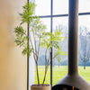Luxe kunst bamboe boom van 240 cm met realistische groene bladeren en slanke stelen voor een rustgevend interieur.