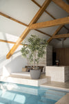 Indrukwekkende grote kunst olijfboom van 260 cm met een authentieke natuurlijke stam en realistische details voor een luxe interieur.