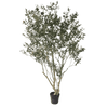 Indrukwekkende grote kunst olijfboom van 260 cm met een authentieke natuurlijke stam en realistische details voor een luxe interieur.