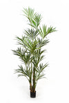 rachtige grote kunst Natural Kentia palm van 260 cm met fijngeveerde bladeren voor een luxe en luchtig interieur.