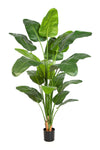 Indrukwekkende grote kunst Strelitzia Nicolai van 220 cm met grote groene bladeren voor een modern en luxe interieur.